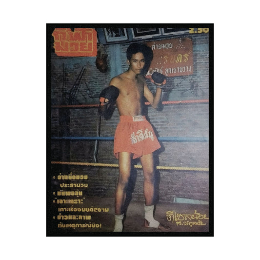 Dieselnoi Chor Thanasukarn – Vintage Muay Thai Matte Poster
