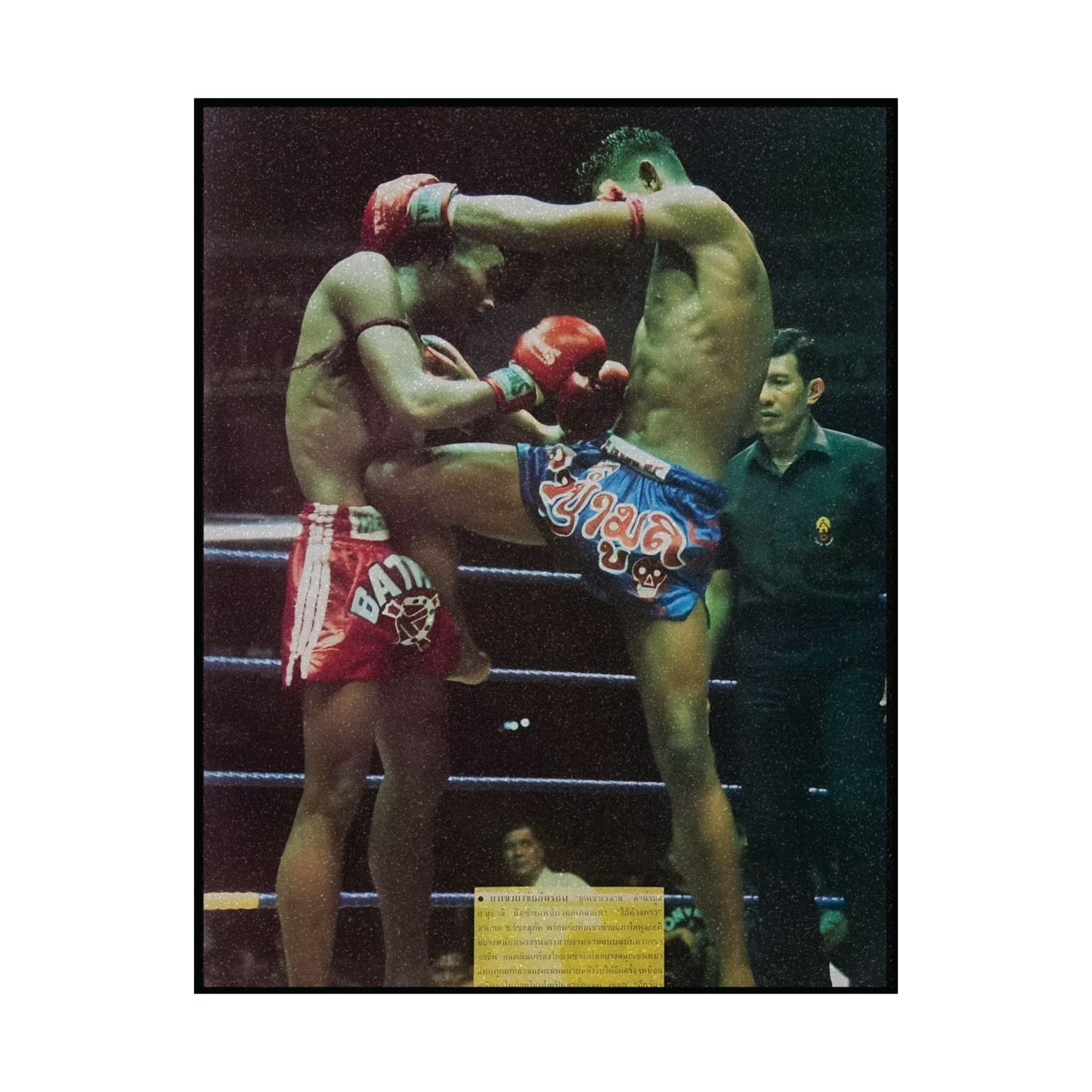 The Vampire's Knees | Vintage Matte Poster