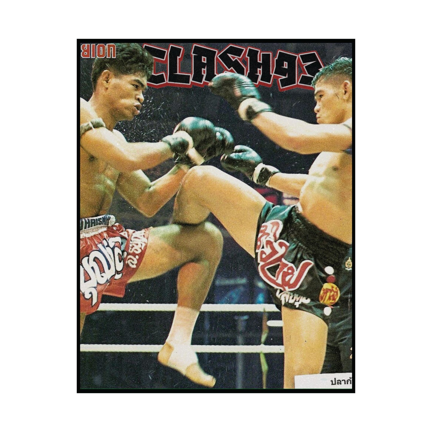 Stand Your Ground | Vintage Matte Poster