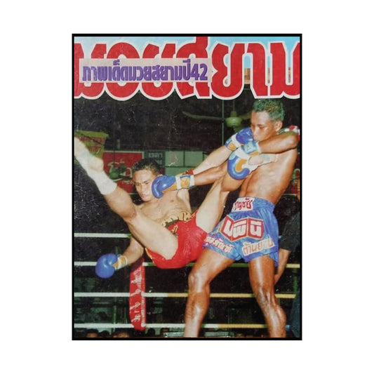 Fight Photo of the Year 1999