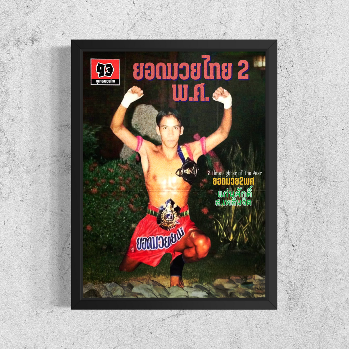 The 2 Time Fighter of the Year