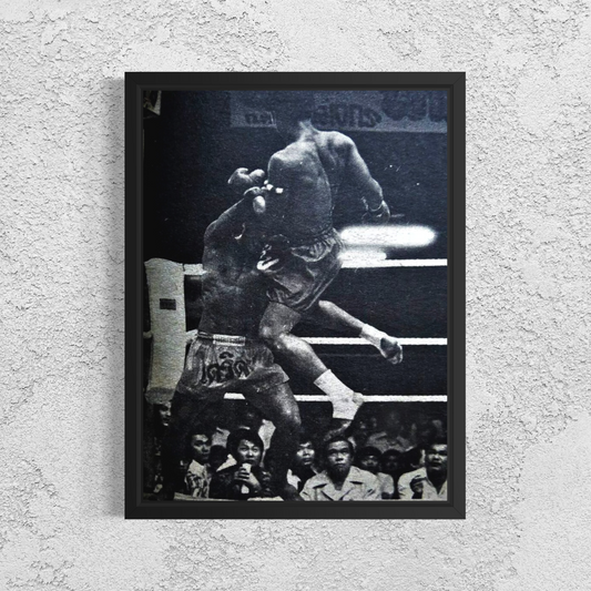 Shadows of Muay Thai I
