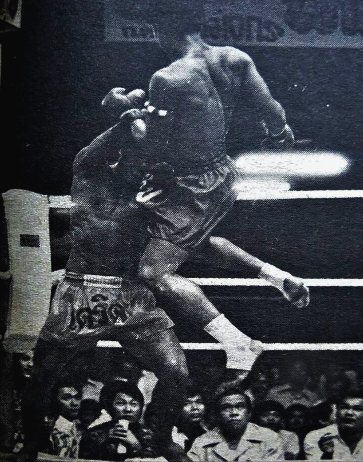 Shadows of Muay Thai I