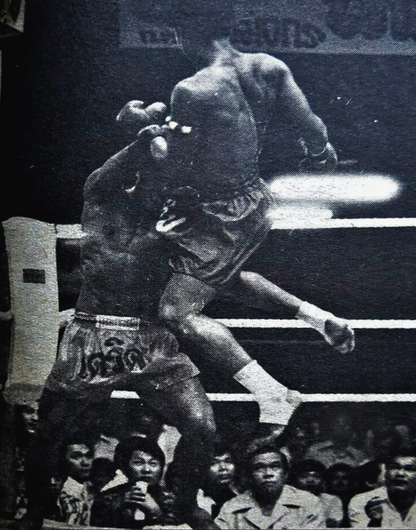Shadows of Muay Thai I