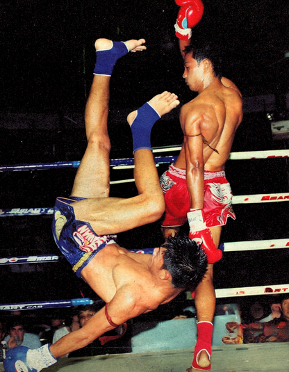 Sweep the Ground - Muay Thai Poster
